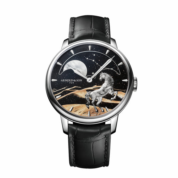 Perpetual Moon 41.5 Platinum 