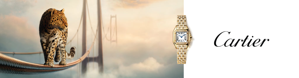 Cartier Web Banner