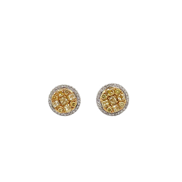 Yellow Diamond Earrings
