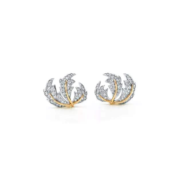 Tiffany & Co. Earrings