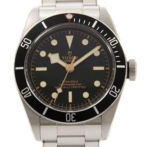 Tudor Black Bay Heritage 79230N