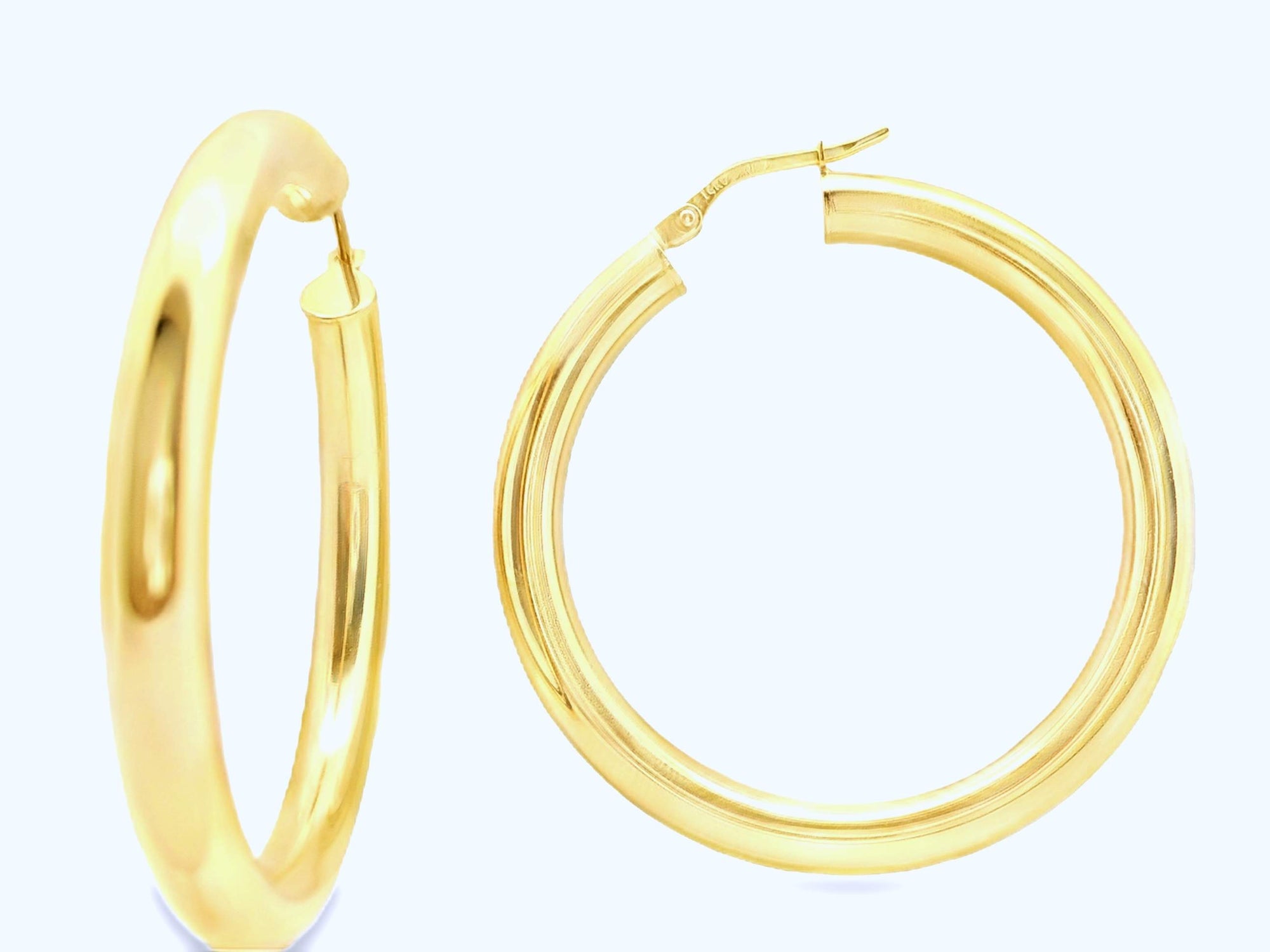 Hoop Earrings Provident Jewelery