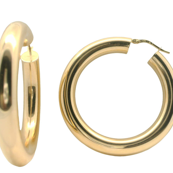 Hoop Earrings