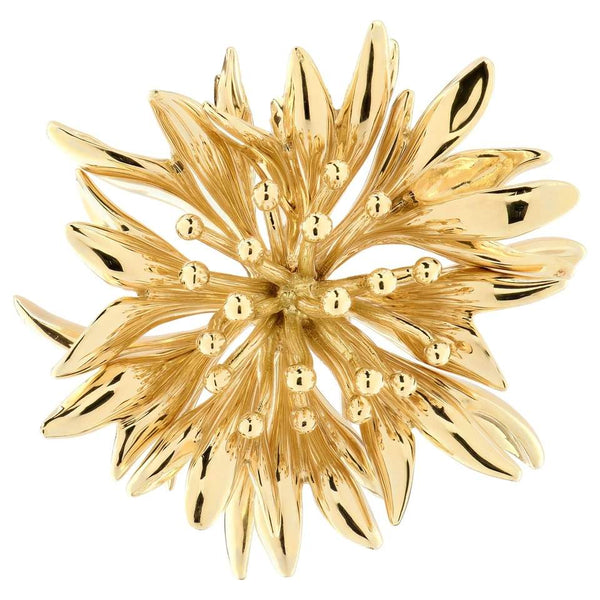 TIFFANY & CO NATURE BROOCH